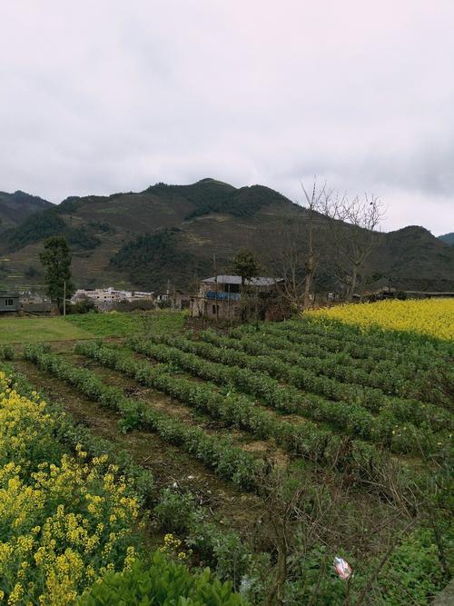 培石乡最新天气预报，培石乡天气预报更新通知