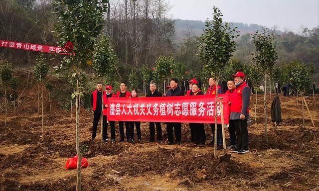 元树村委会最新交通新闻，提升交通设施，助力乡村振兴，元树村委会交通设施升级助力乡村振兴新闻报道