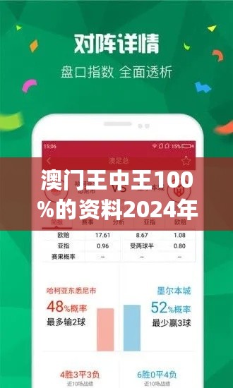 澳门王中王100,可靠研究解释定义_Windows59.171