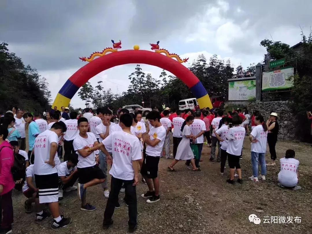 农坝镇最新发展规划，塑造未来繁荣蓝图，农坝镇未来繁荣蓝图，最新发展规划揭秘