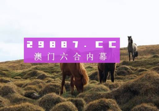 旧澳门开奖结果+开奖记录,实地验证分析_Plus94.233