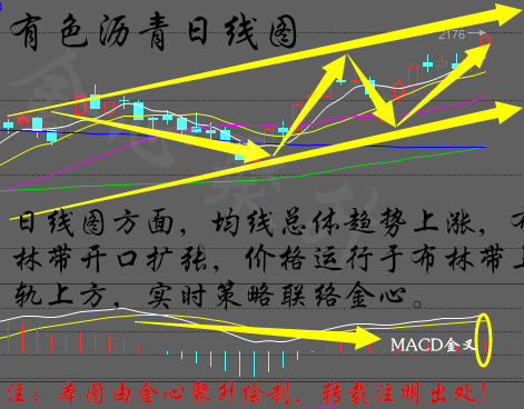 澳门雷锋心水论坛,科技成语分析落实_策略版57.10