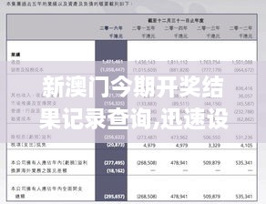 新澳门历史记录查询,动态解析词汇_Hybrid13.482