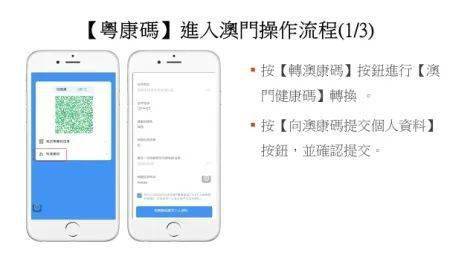 澳门一码精准,高效实施方法解析_Android256.183