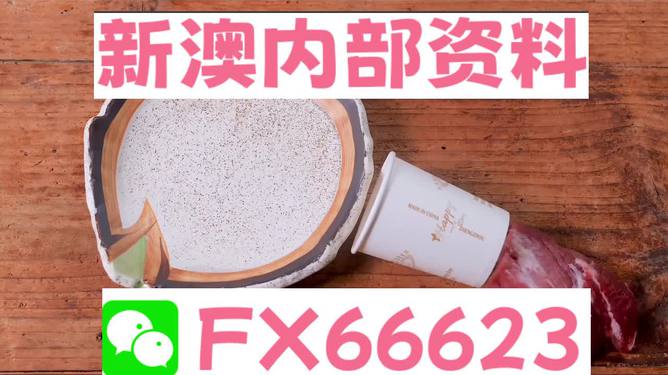 新澳精准资料免费提供濠江论坛,动态调整策略执行_定制版8.213