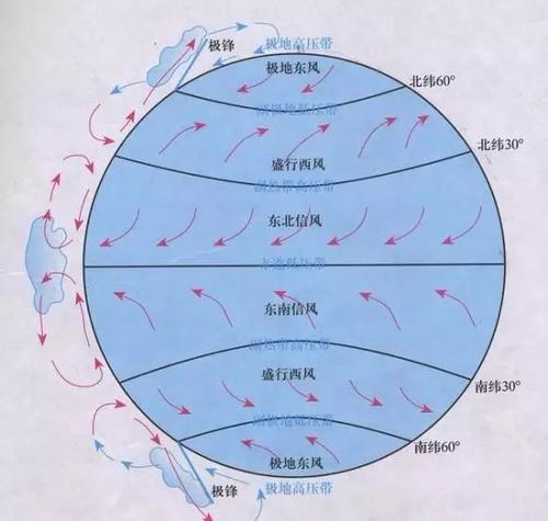 徐闻县人力资源和社会保障局最新领导团队介绍，徐闻县人力资源和社会保障局领导团队介绍