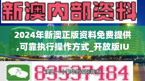 2025新澳精准正版资料,创新性执行计划_专属款51.506