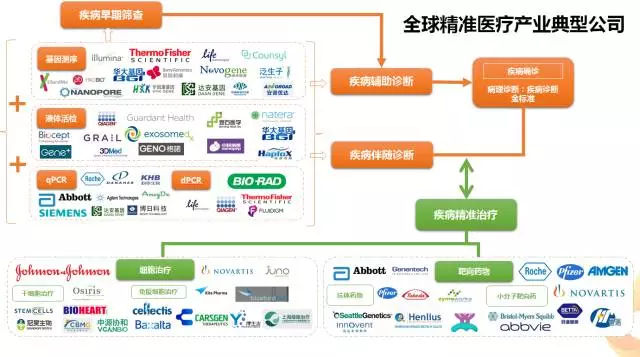 新澳2025年精准资料期期公开不变,迅速响应问题解决_Advanced63.196