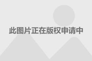 上海天气预报台风最新消息，如何应对台风天气风险，上海台风最新预报，如何应对台风天气风险指南